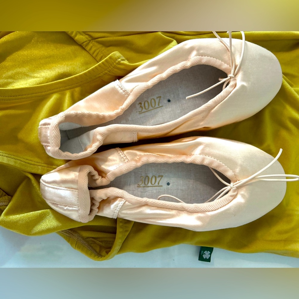 NWOT Pointe Shoes Pink Nikolay Size 6 M